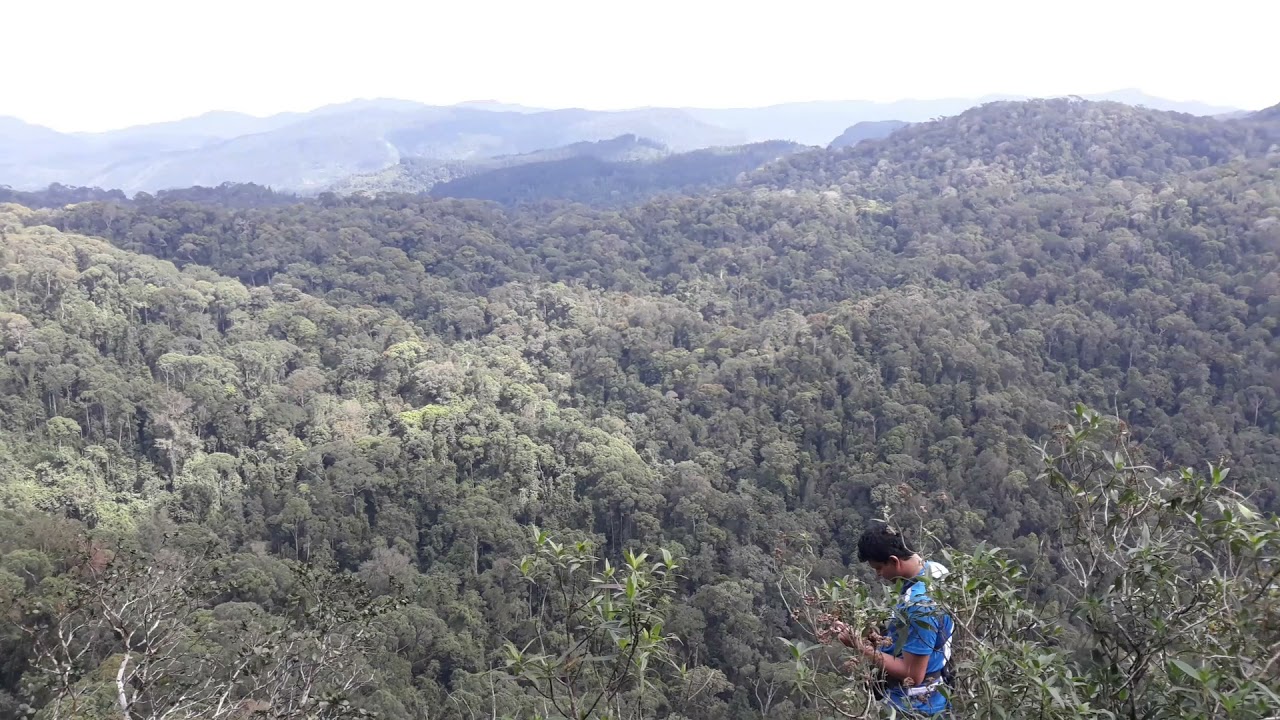 View of the Sinharaja,sinhagala(742m)
