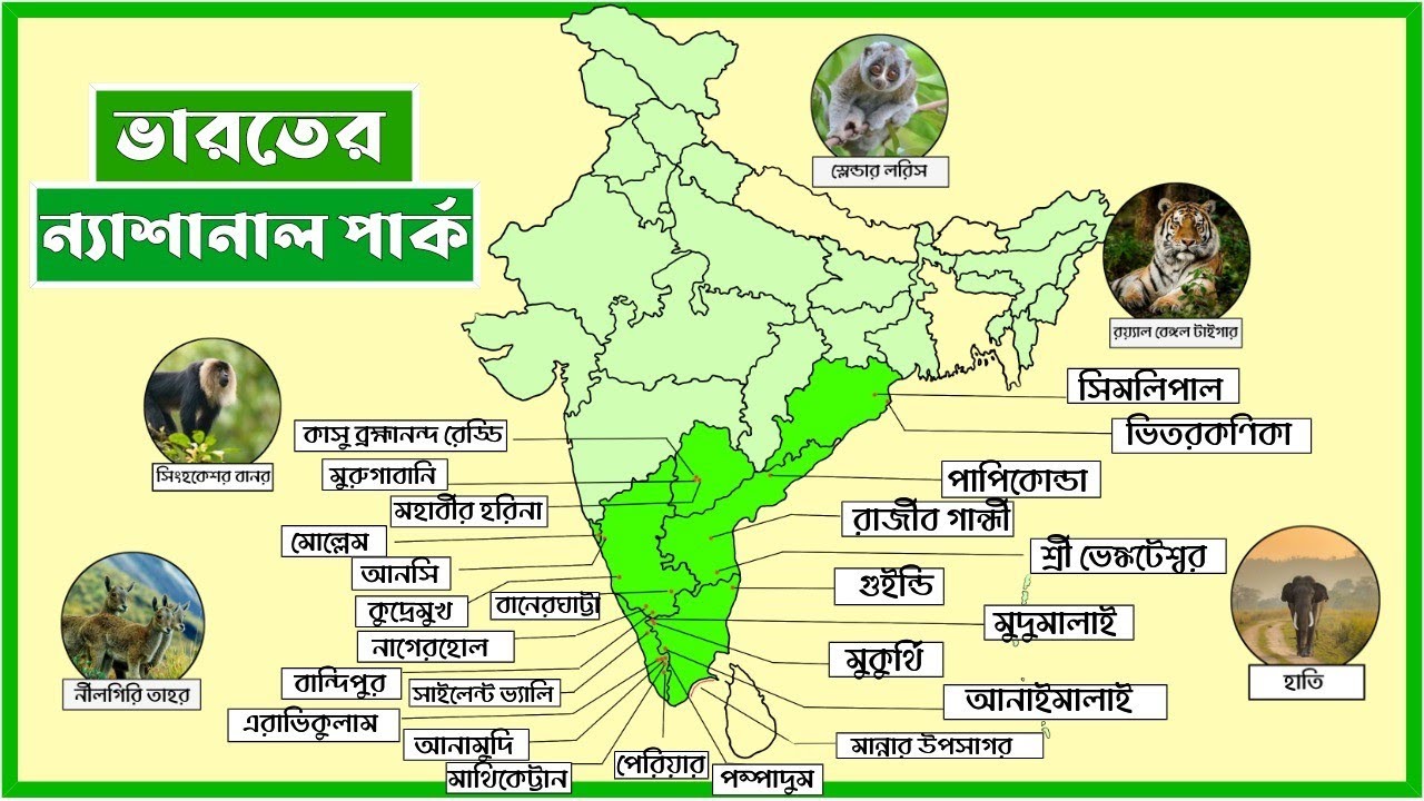SLST Geography 2025 | বিগত ১০ বছরের প্রশ্নোত্তর | National Park of India | Indian Geography