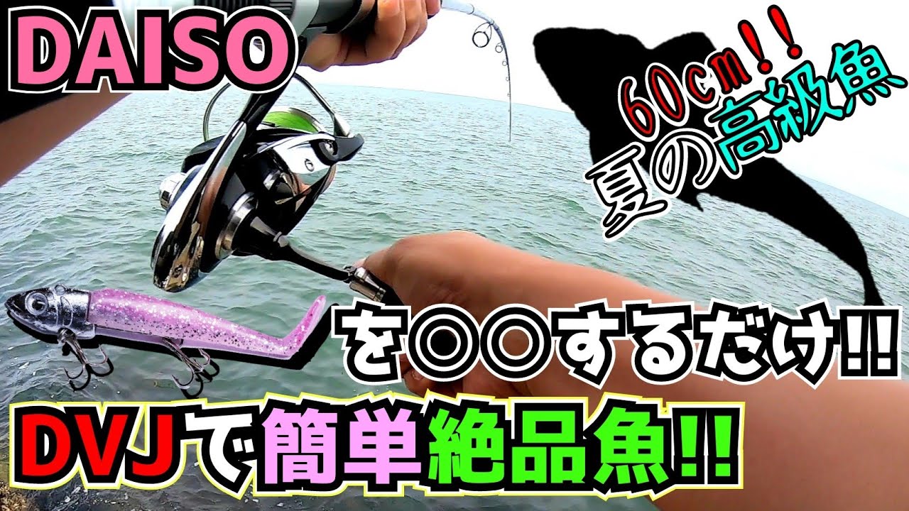 【ショアジギング】ダイソーVJをただ○○するだけで高級魚が釣れます!!【vol.28】【DAISO】【ダイソージグヘッド】【釣具】【旬の魚】