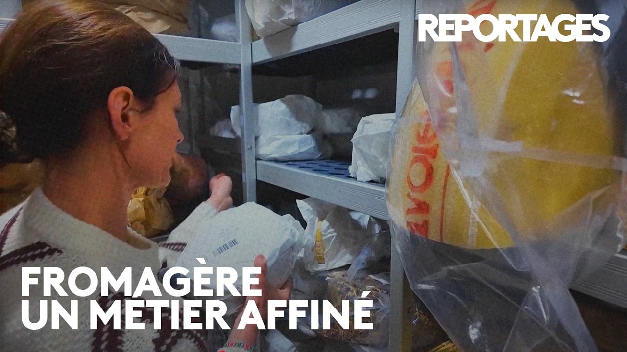 24h avec une fromagère passionnée : dans les coulisses du métier