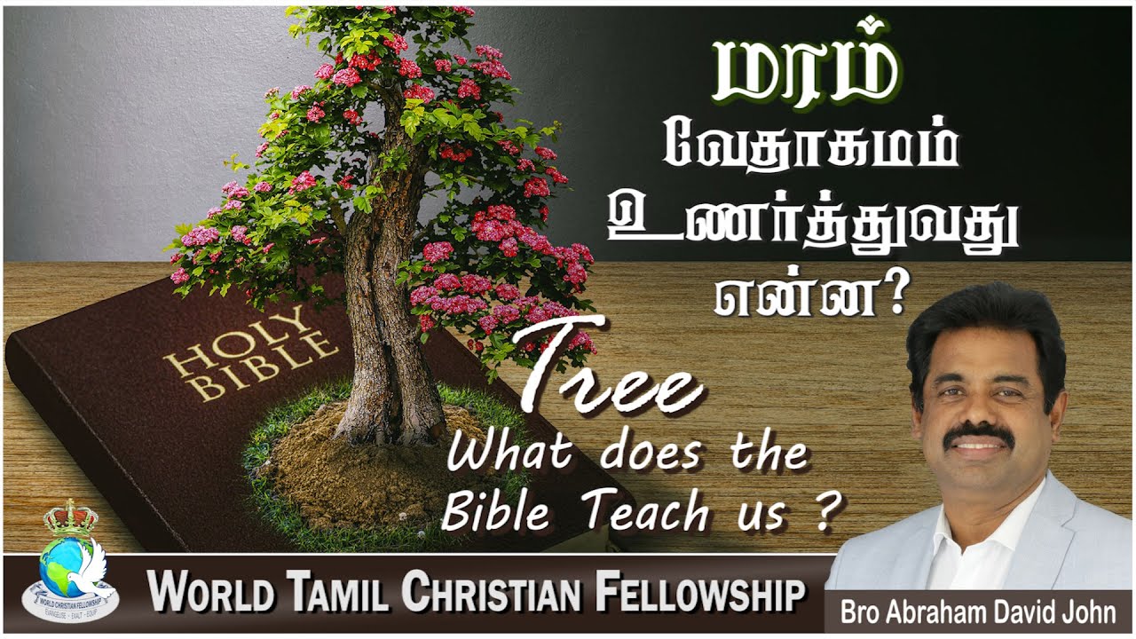 Tree - What does the Bible Teach us? மரம் -வேதாகமம் உணர்த்துவது என்ன? #AbrahamDavidJohn Genesis 3:24