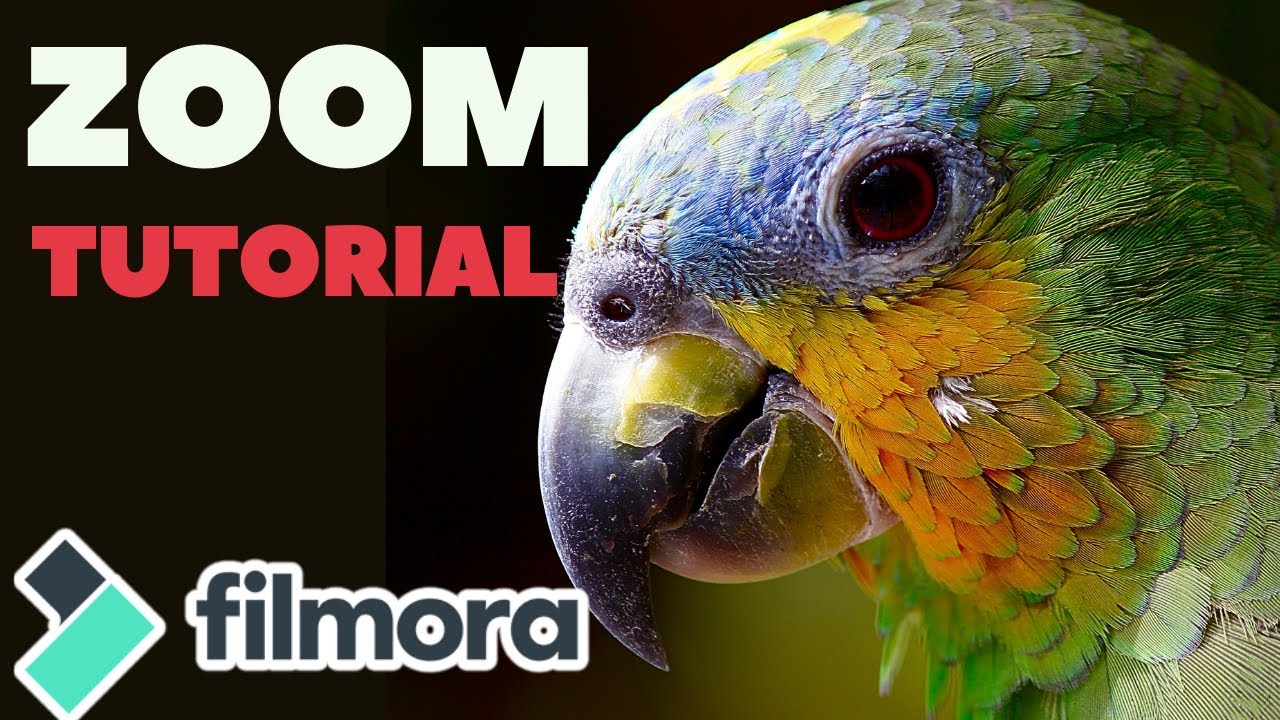 🎥 Como Hacer Zoom En Filmora 9 | El Mejor Metodo 💚