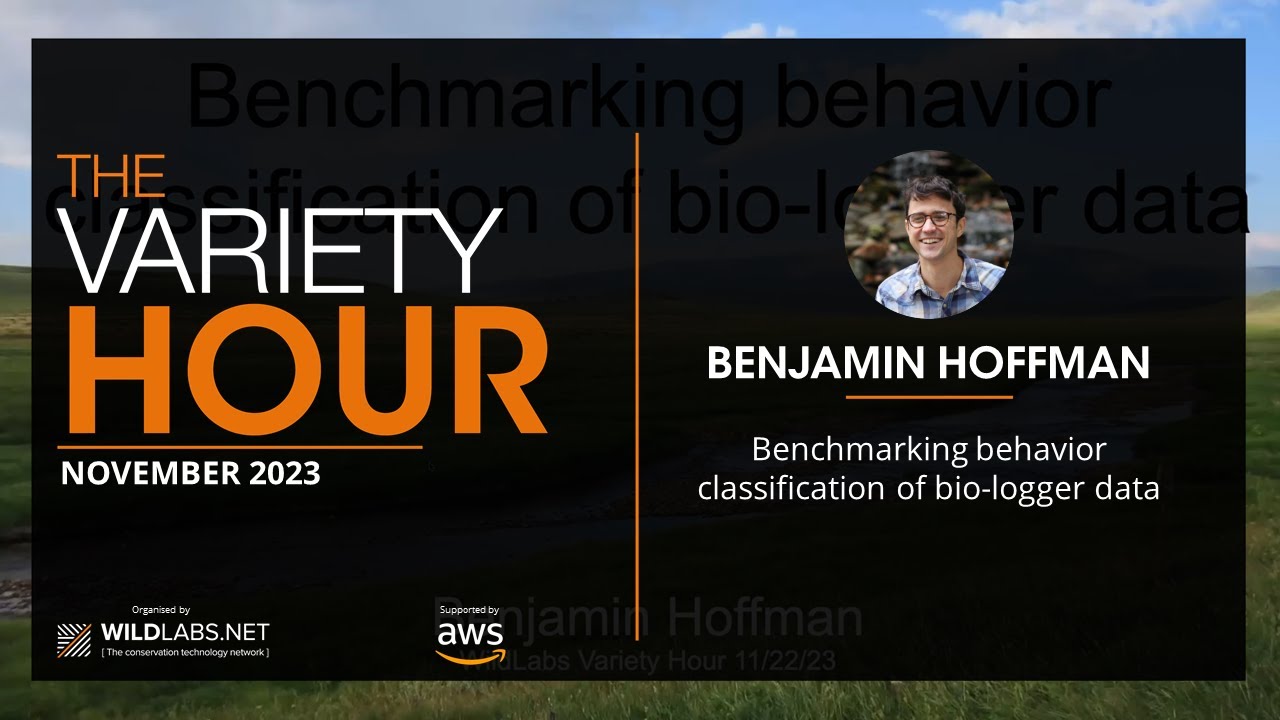 Benjamin Hoffman: Benchmarking behavior classification of bio-logger data