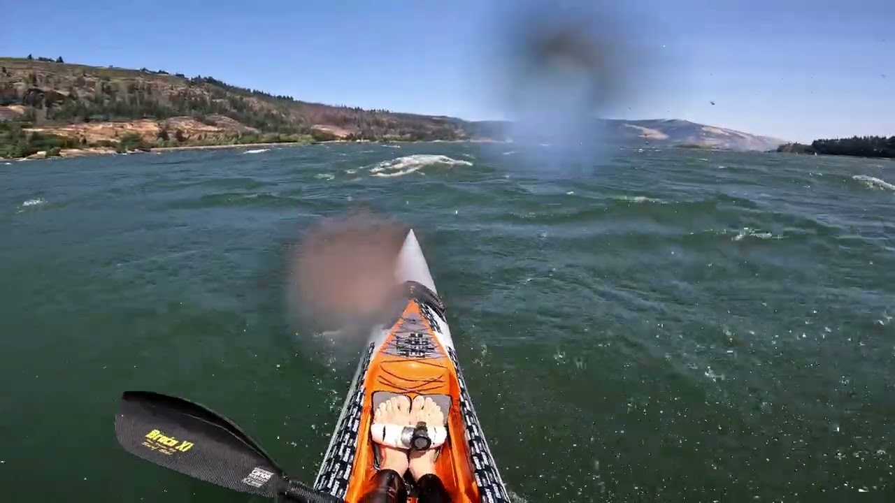 Gorge - Swell City 25 knots 7 11 2024