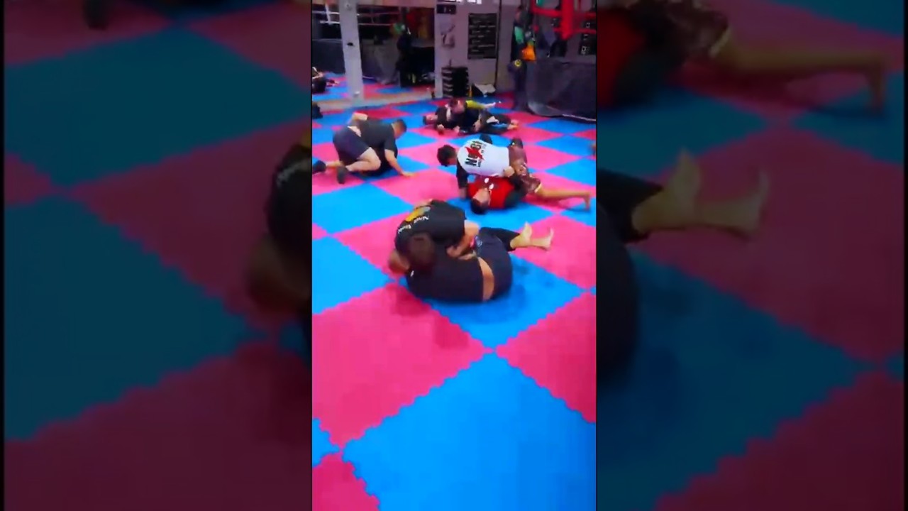 Anaconda team open mat 2026 #mma #bjj #jiujitsu #grappling #fighting #nogi #wrestling #bjjlifestyle