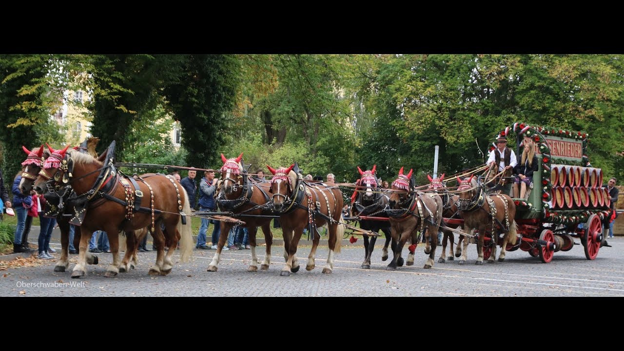 Fuhrmannstag 2018