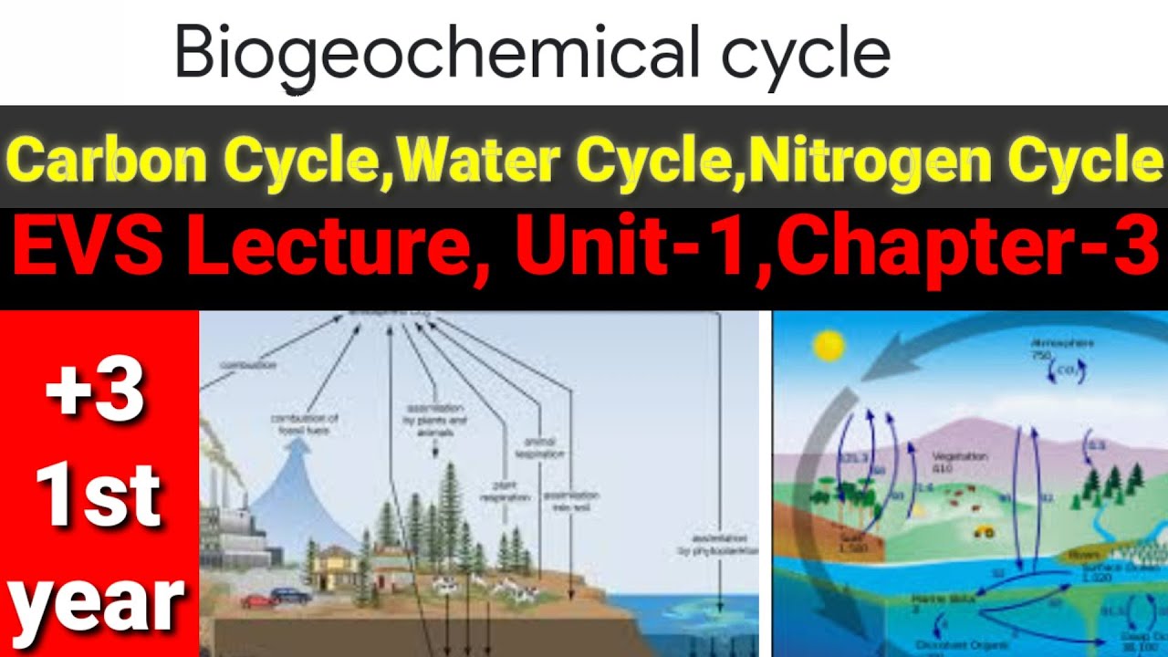 EVS Lecture, Unit 1, Biogeochemical, Carbon Cycle,Water Cycle, Nitrogen Cycle, Environmental Studies