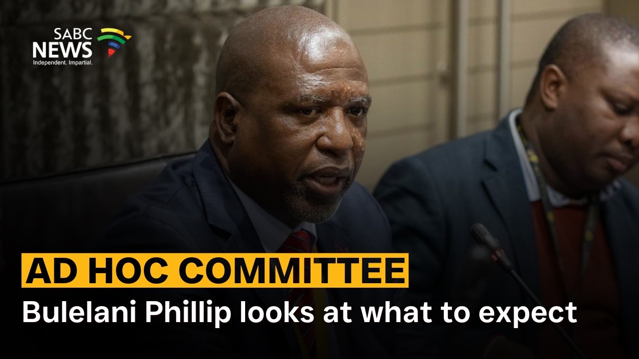 Ad Hoc Committee | Bulelani Phillip looks at what to expect