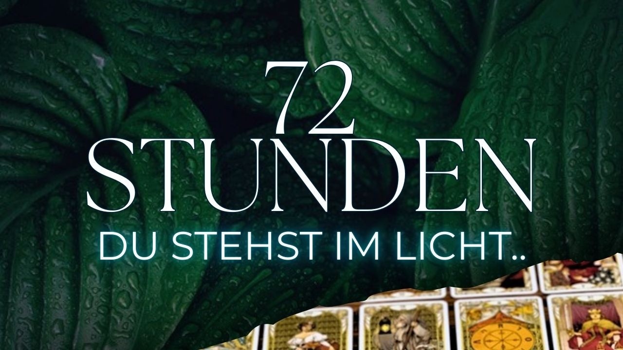 Die kommenden 72 Stunden ✦ Du wirst wahrgenommen | Das verändert alles