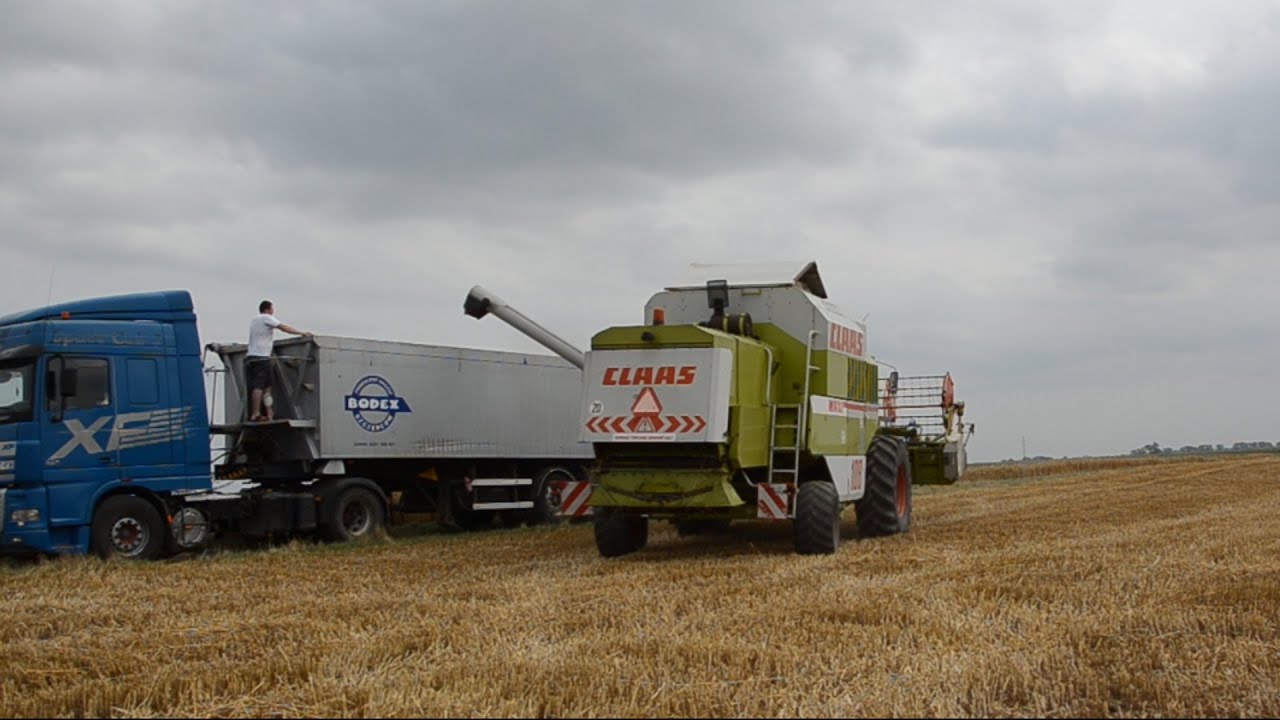 Żniwa  2015 || Pszenica || 3x Fendt  Claas || Opolskie