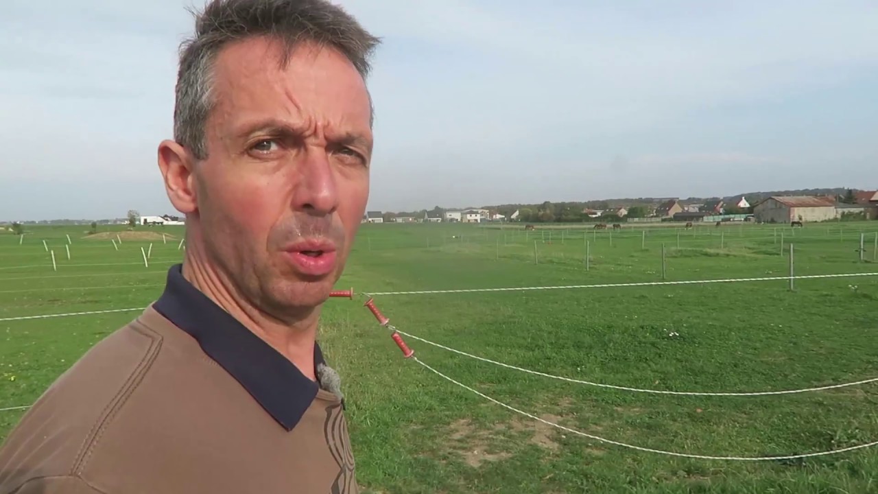 L'agriculteur d'aujourd'hui commande un électrificateur pour clôture sur Agrizone