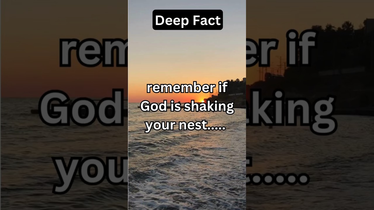 Remember if God is shaking your nest...