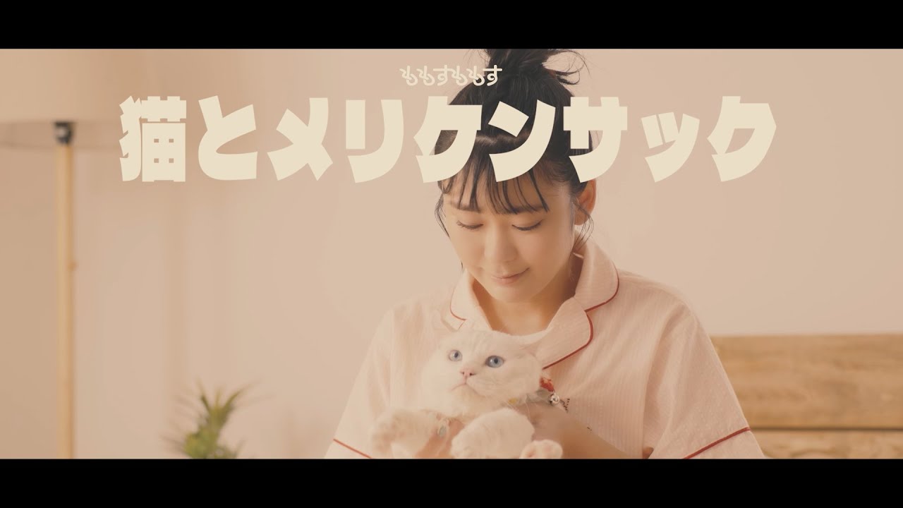 ももすももす「猫とメリケンサック」Music Video
