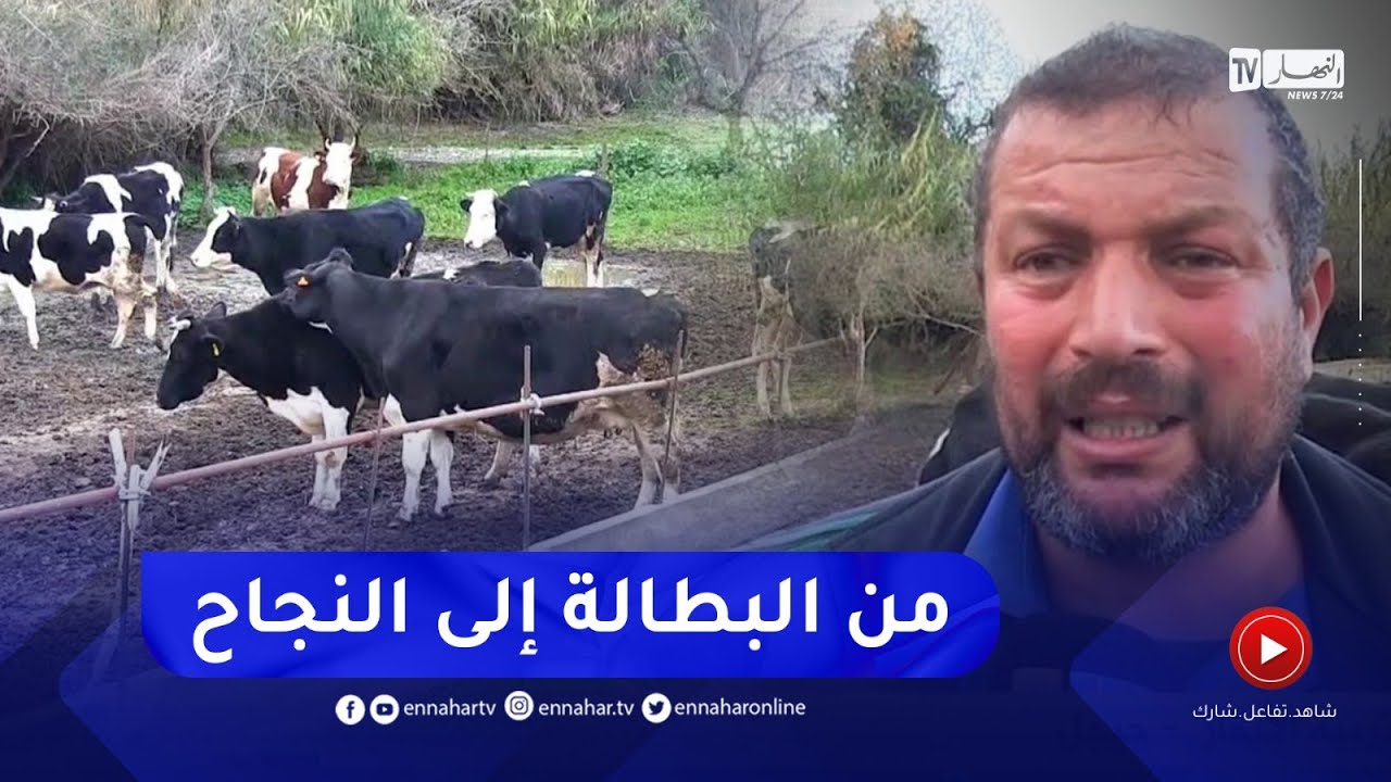 جيجل / يوسف من شاب يواجه شبح البطالة إلى مستثمر ناجح في تربية الأبقار