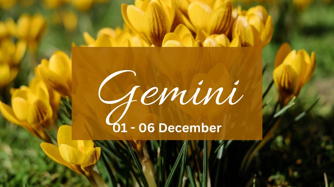 Gemini❤️If u think they r doing fine after playing u then u r wrong!Desperate to take action but..