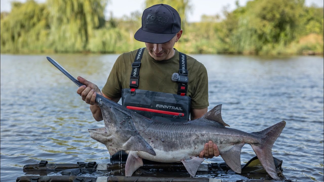 Первый фестиваль «Клуба Карпятников» . Карпфишинг , Carpfishing. Дубовый хуторок