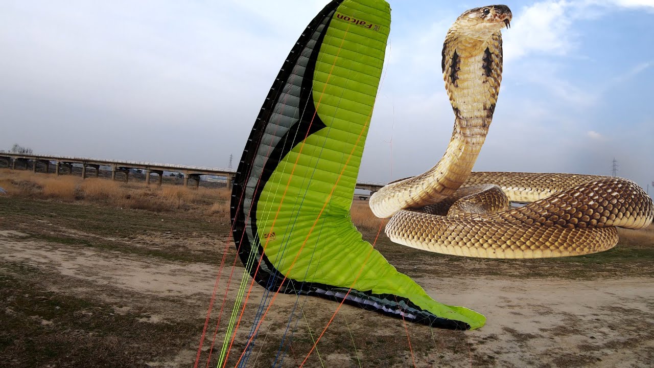 How and why I removed my Gin Falcon's Wing Tip Brake