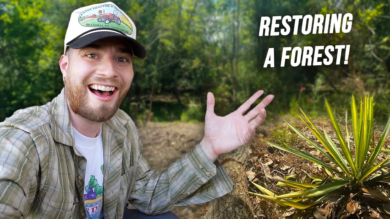 Creating A New Wildlife Garden With Native Plants | Restoring a Forest!