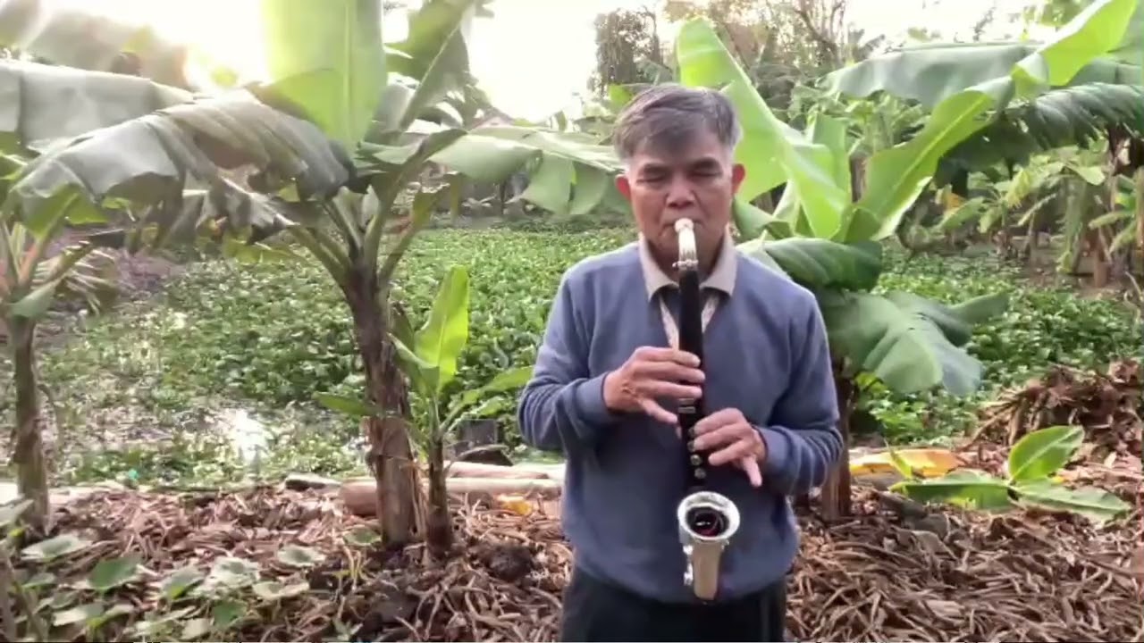 XUÂN NÀY CON KHÔNG VỀ