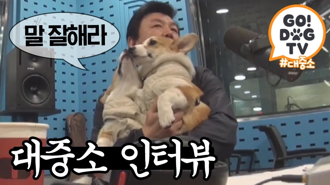 [고독TV] 🗣 