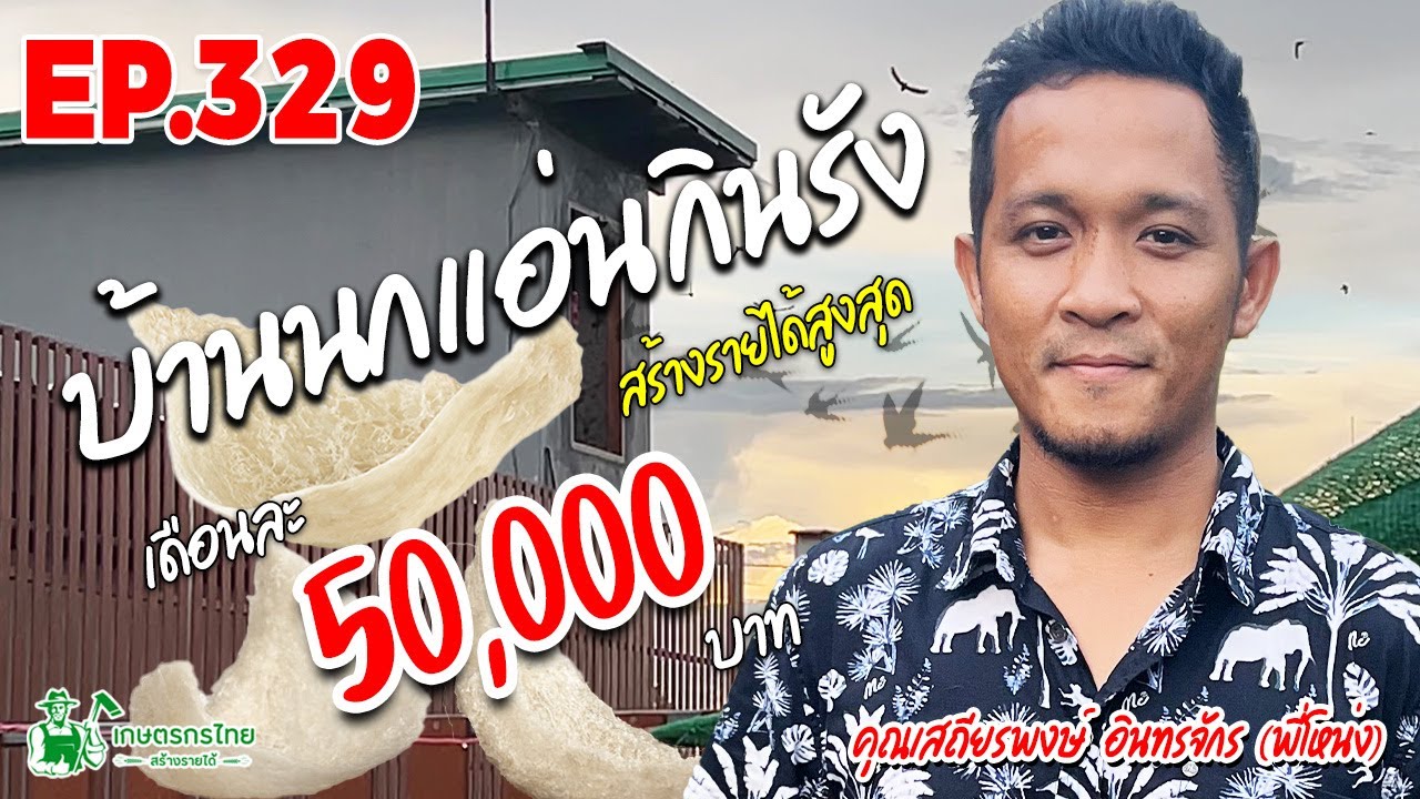 เลี้ยงนกนางแอ่นกินรัง ลงทุนครั้งเดียวแล้วนอนกินไปตลอดชีวิต สร้างรายได้ขั้นต่ำ 50,000 บาท/เดือน