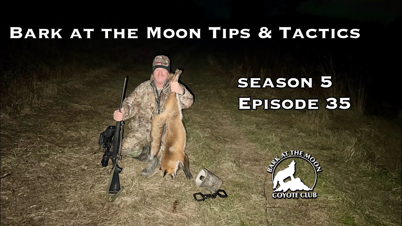 Bark at the Moon Tips & Tactics Ep 35