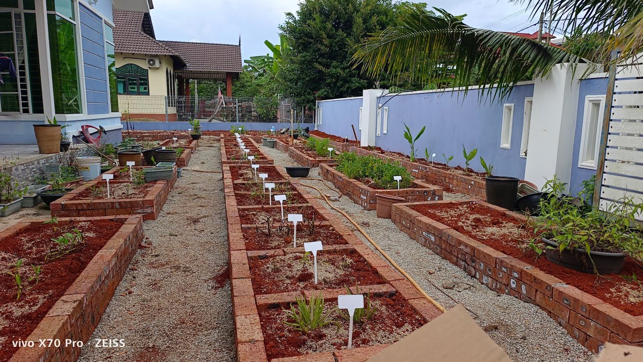 [ Kebun BANDAR ] Tanam Pelbagai JENIS Pokok SAYUR Dan Tanaman HERBA Yang SERING Digunakan Di DAPUR