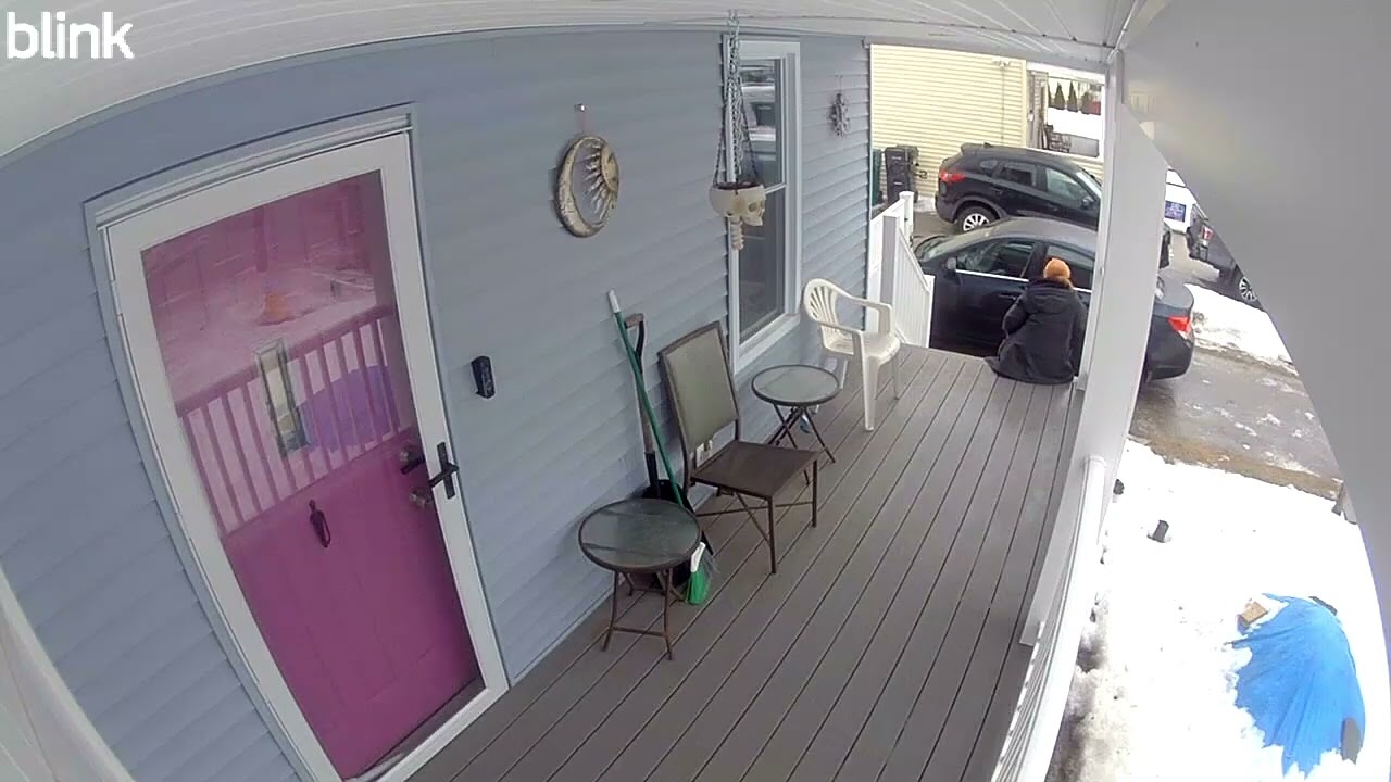 My coworker blew her dog a kiss and then the porch blew her tailbone a kiss.