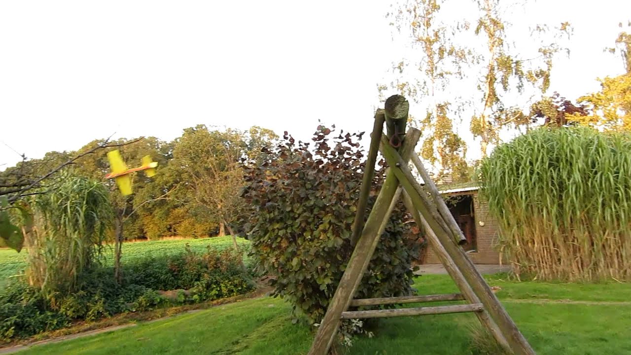 Shocky Kitol im Garten