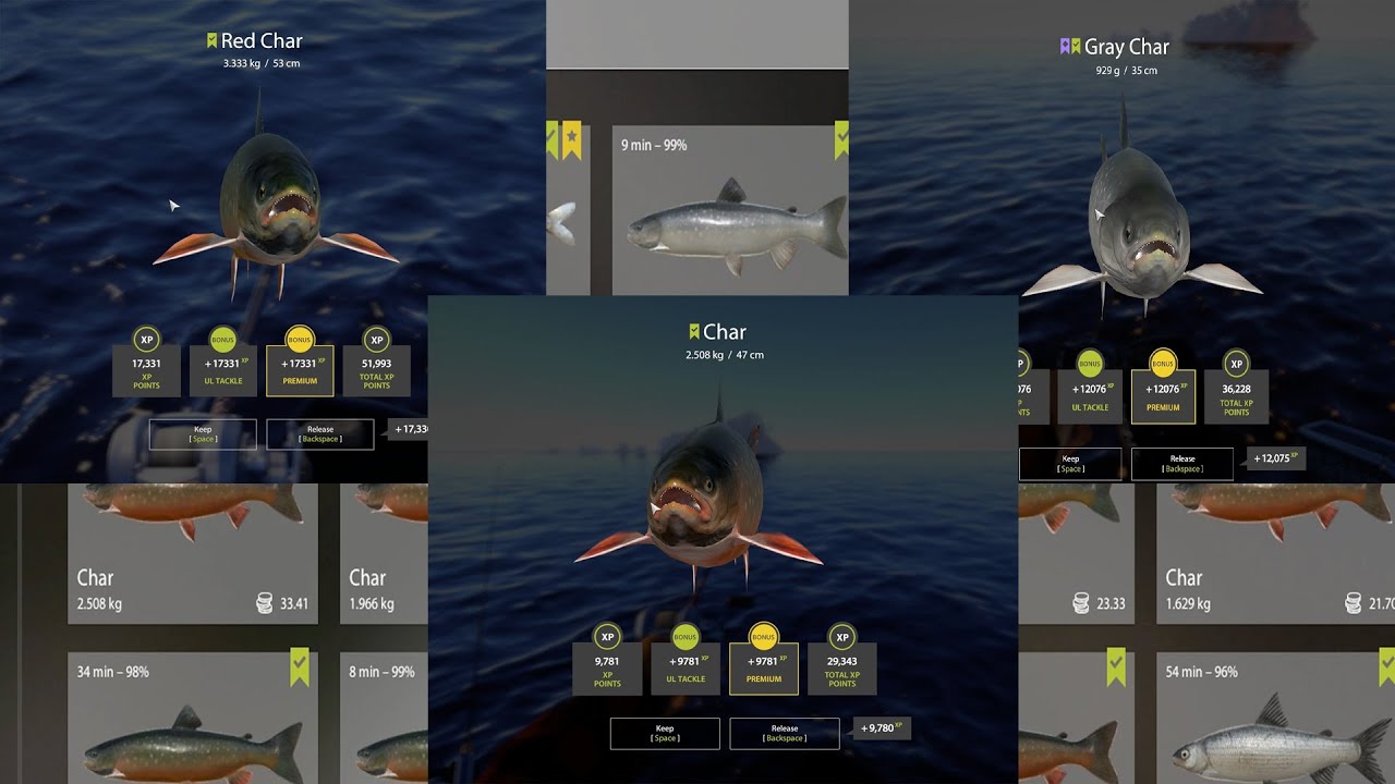 Russian fishing 4~ Rf4-Ladoga Archipelago ACTIVE CHAR SPOT, wacky rig