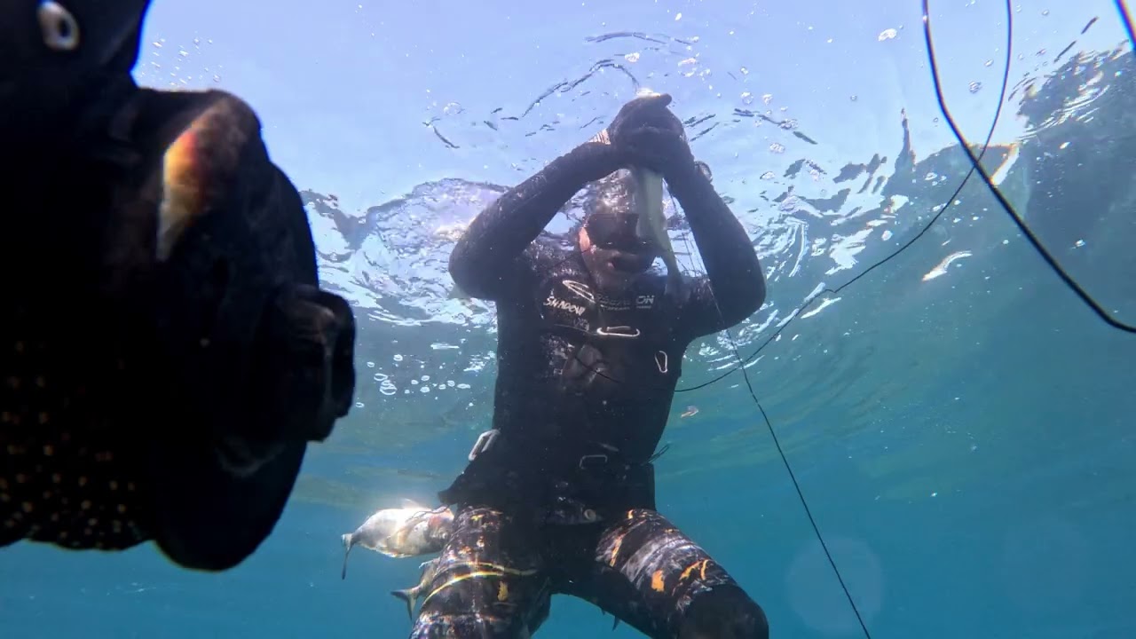 Chasse sous-marine du 30 Avril 2025