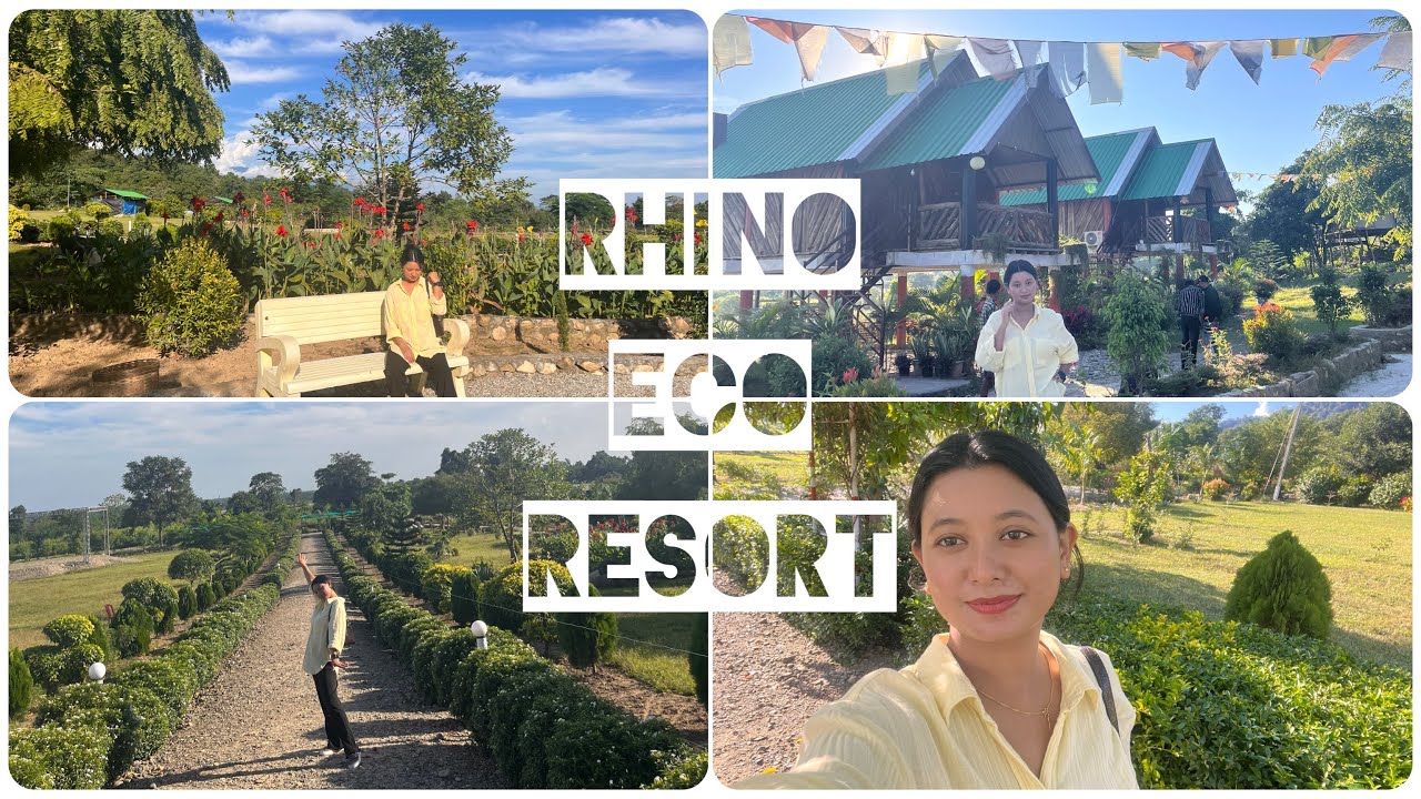 🦏 Rhino eco resort|Dimakuchi 🍃