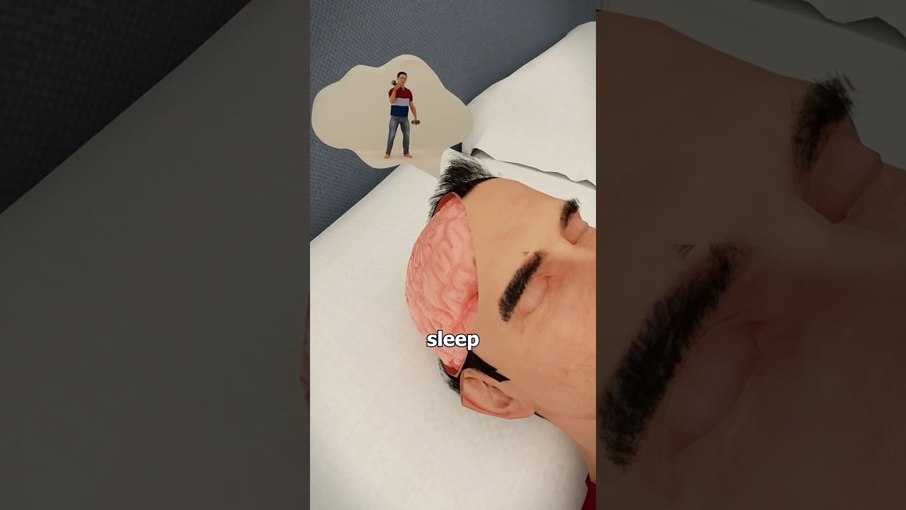 Объяснение науки сна! 🧠💤