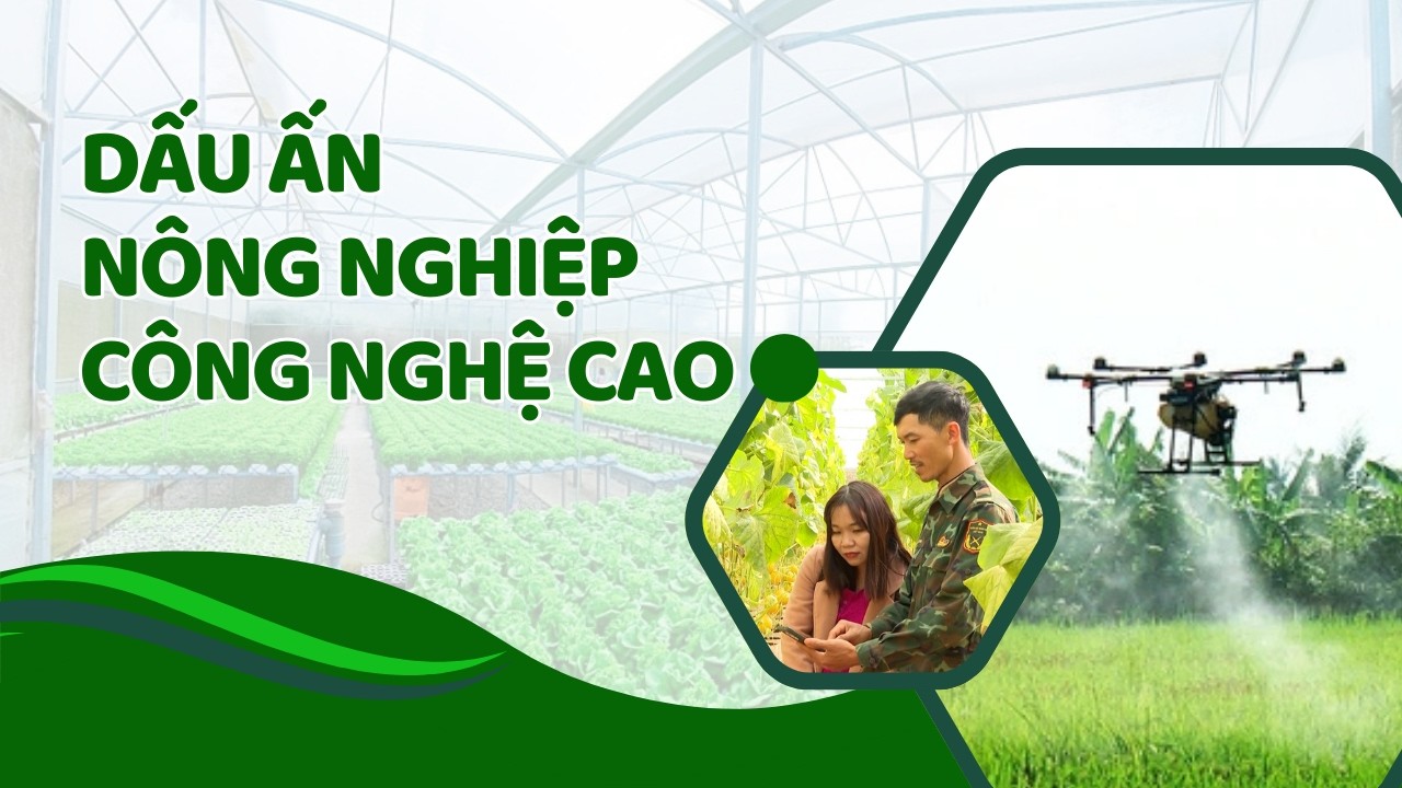 Dấu ấn nông nghiệp công nghệ cao tại Lâm Đồng