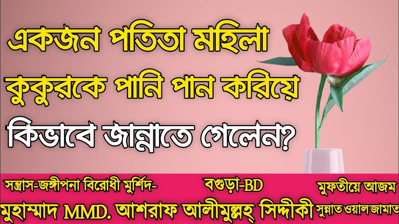 একজন পতিতা মহিলা কুকুরকে পানি পান করিয়ে কিভাবে জান্নাতে গেলেন? শুনলে অবাক হবেন।