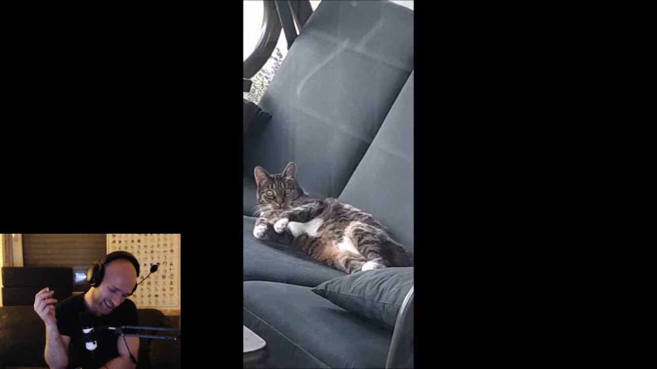 JustcheapLP- Reaction auf das Abschiedsvideo