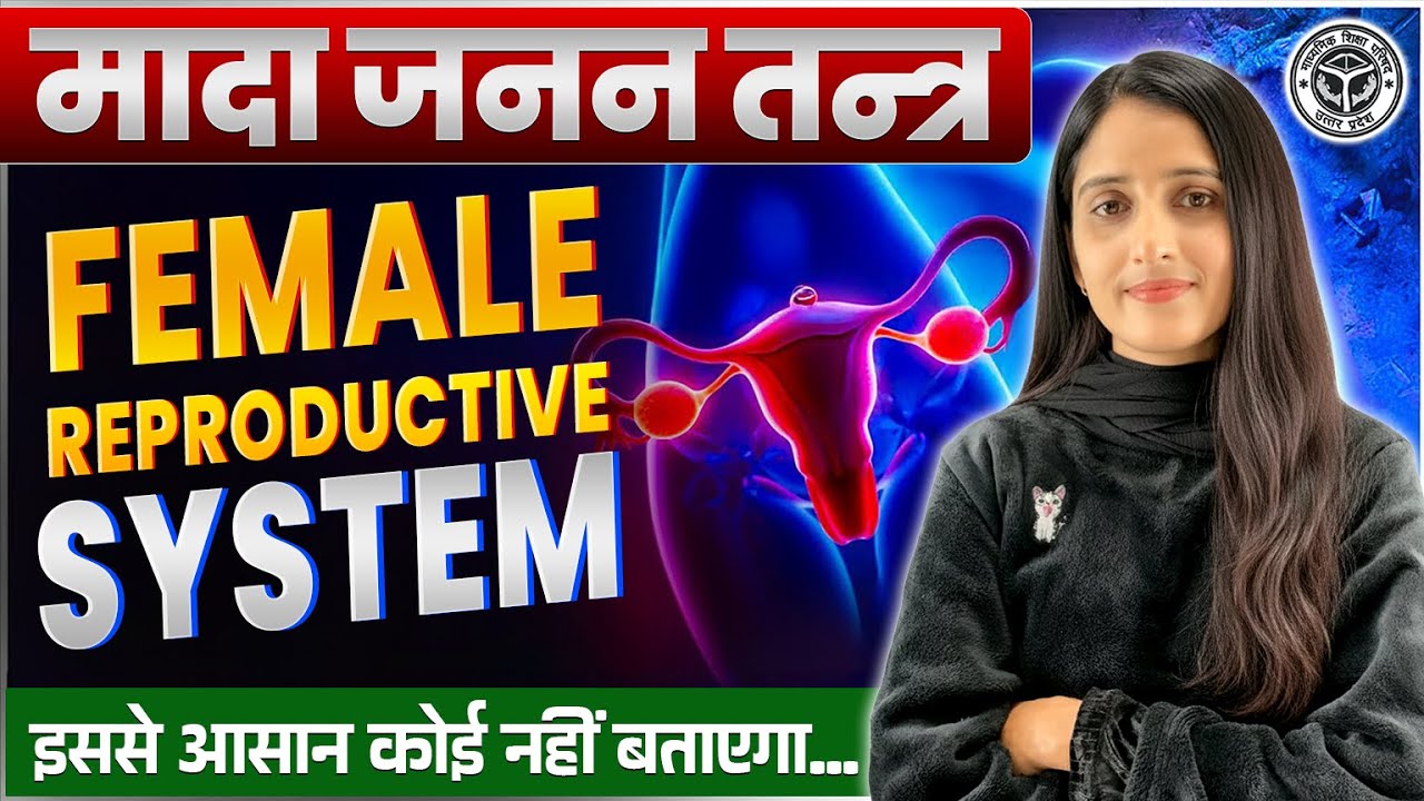 मादा जनन तंत्र | Female Reproductive System | Class 12th Biology Chapter 3