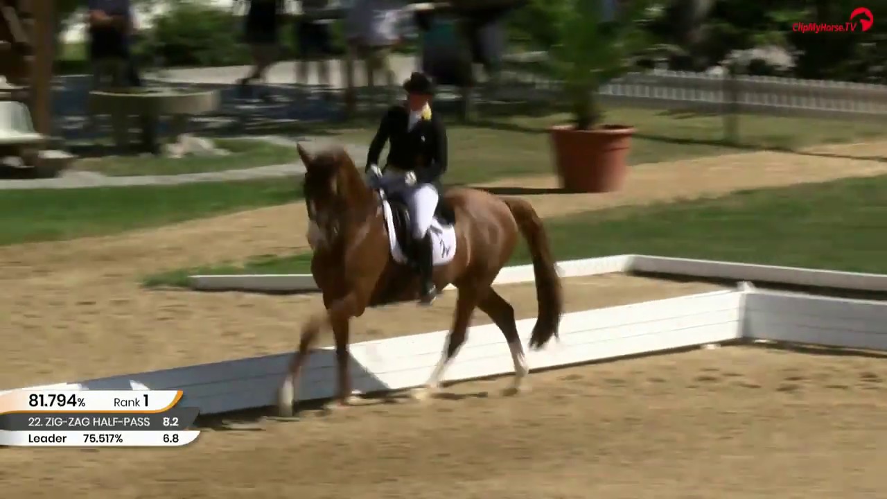 Bewerb 02 - Grand Prix de Dressage  - Qualifikation für den Grand Prix Special