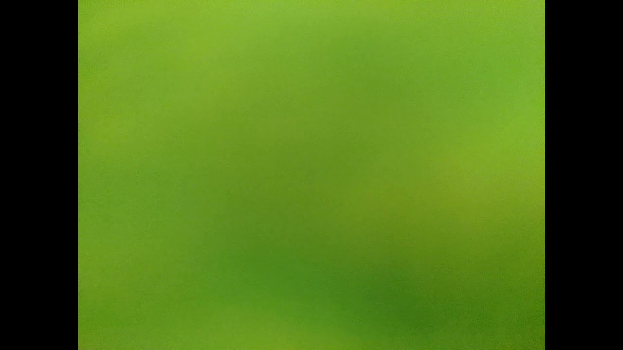 moss exploration drone / ambient soundscape