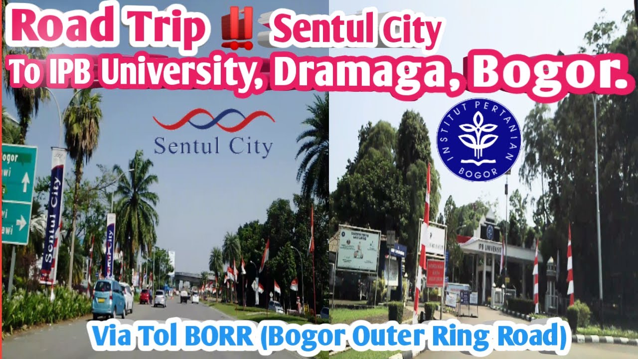 Road Trip ‼️ Sentul City To IPB University. Dramaga, Bogor. Via Tol BORR‼️
