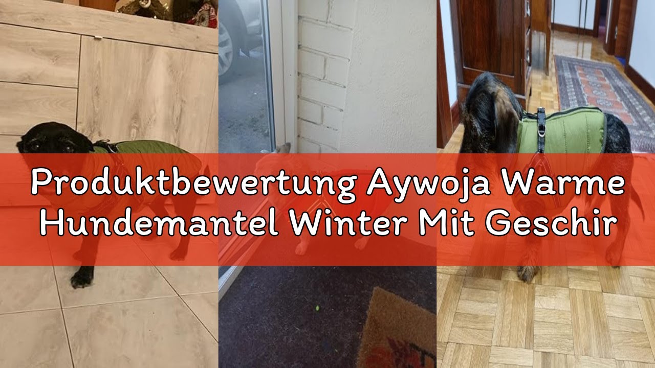 Produktbewertung Aywoja Warme Hundemantel Winter Mit Geschirr für Kleine Hunde, Wasserdicht, Maschin