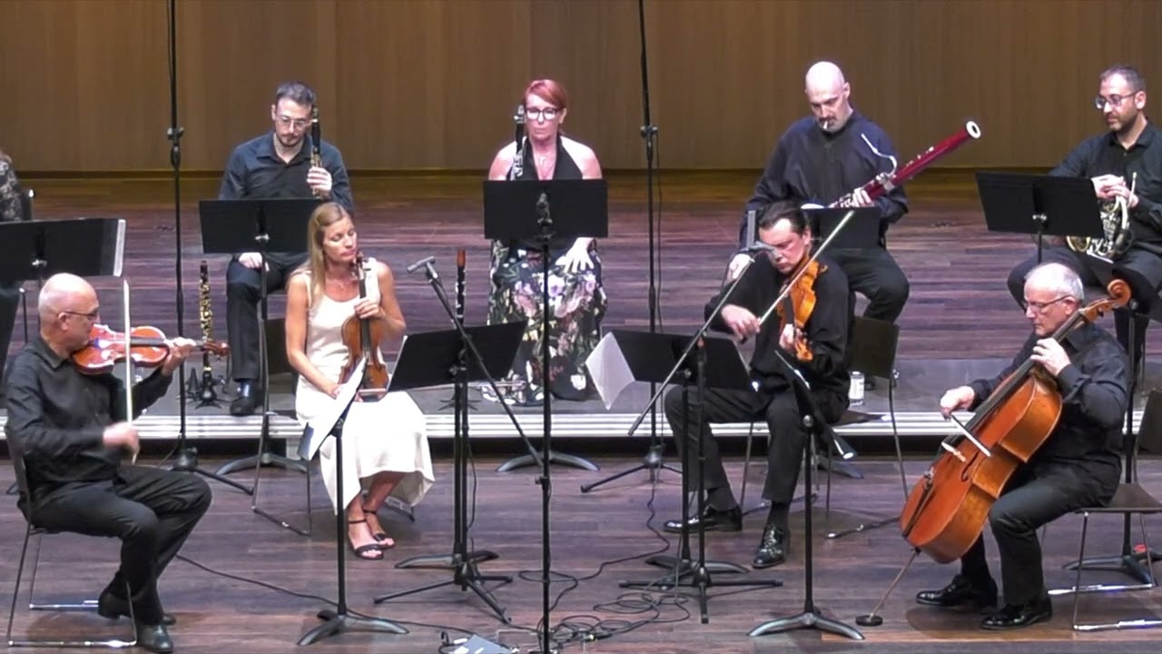 Johannes Brahms - Serenade Nr. 1 - Menuetto - Camerata dei Castelli