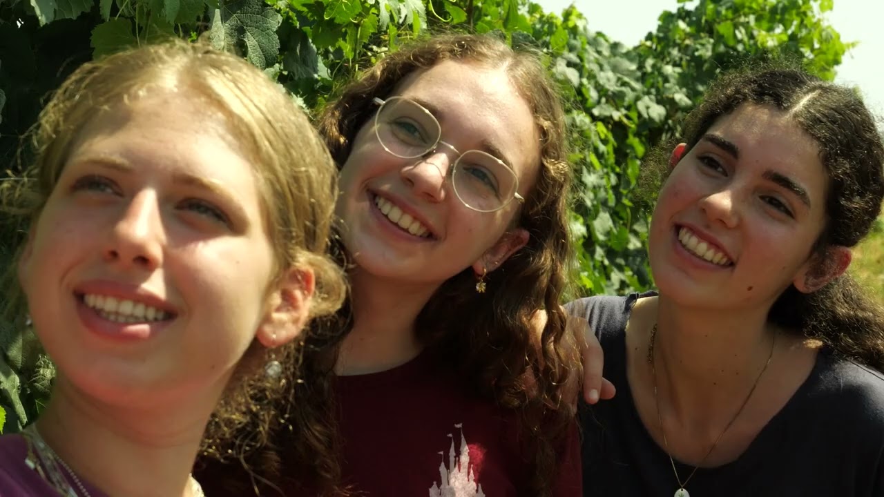 סלפי סרט גמר תשפ