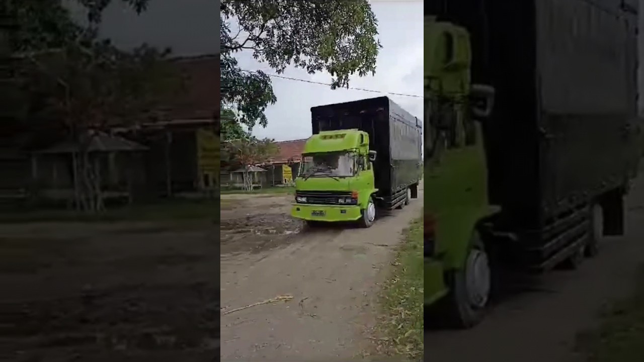 Begini Kalo Megatron BREWOG Keluar Kandang #brewogaudio #shorts #megatron