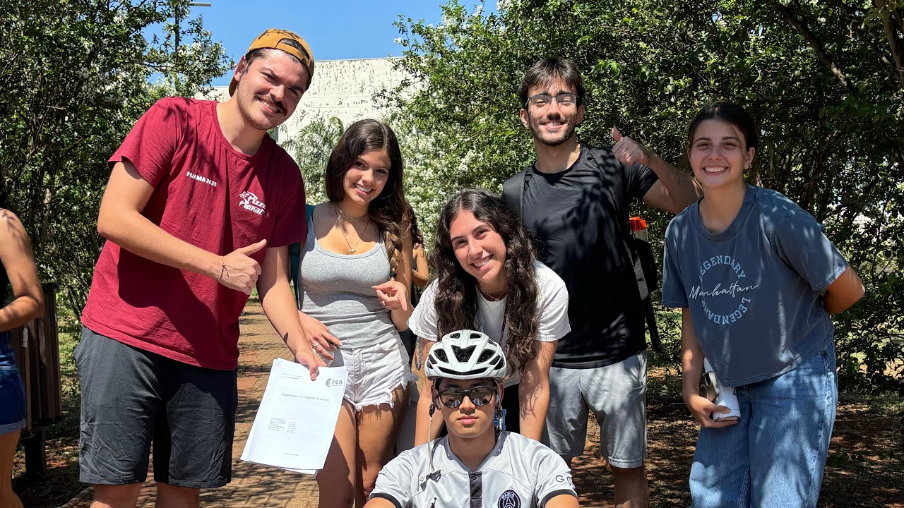 carrinho de rolimã