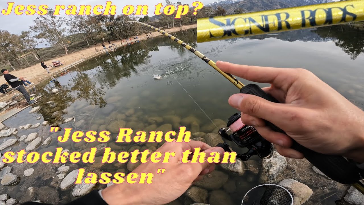 Fishing for Big 5-10 pound Rainbow trout at Yucaipa park February 2023