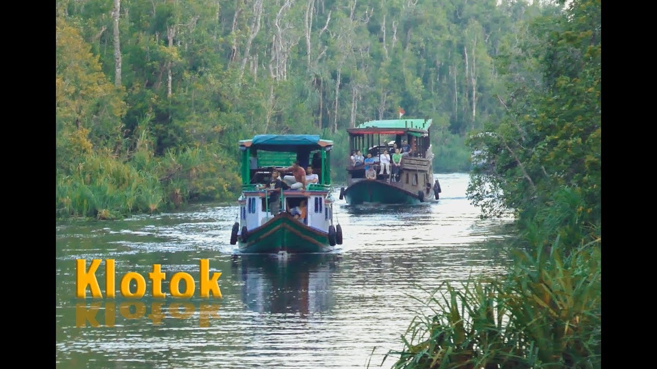 The klotok, the boat that will take you through Borneo!