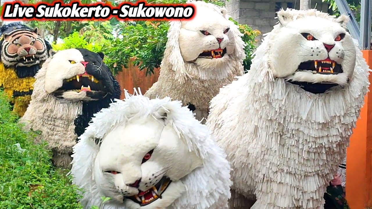 FULL KIRAB CAN MACANAN DRUMBAND SINGA SAKTI | LION DANCE