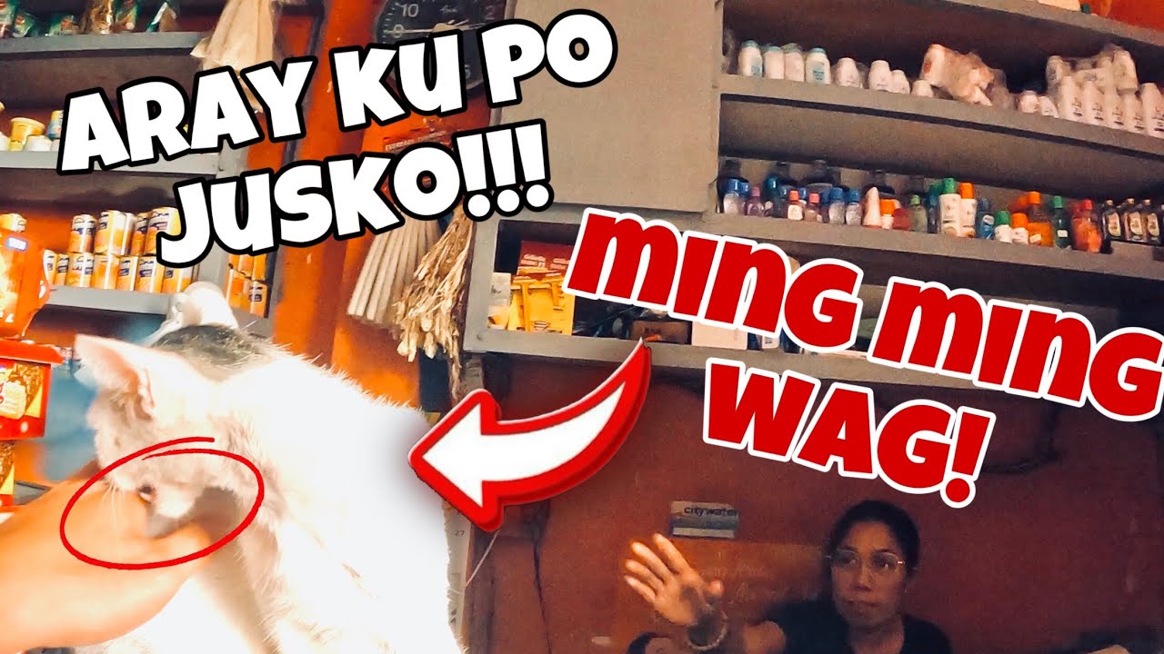 Kinagat Ako Ng Pusa Ng Customer | Buhay Lalamove Sedan 200 Kg | 4 Wheels