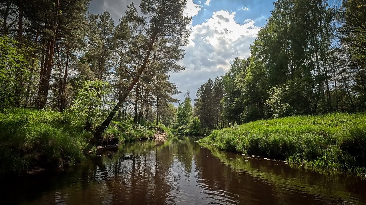 Река Гусь сплав на сапбордах